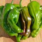 Pepperoncini Pepper (Hard to Find) 60 Seeds