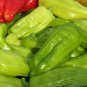 Pepperoncini Pepper (Hard to Find) 60 Seeds