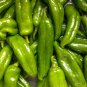 Pepperoncini Pepper (Hard to Find) 60 Seeds