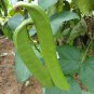 Sword Beans 10 Seeds