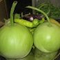 Asian Vegetable Calabash Round Edible Bottle Gourd  200 Seeds