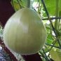 Asian Vegetable Calabash Round Edible Bottle Gourd 200 Seeds