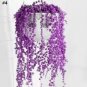 Purple Pearl Chlorophytum 400 Seeds