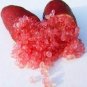 Novel Finger Limes Citrus Pomegranate 40 Seeds