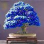 Rhododendron Flower Easy to Grow Azalea Bonsai 200 Seeds
