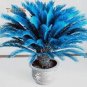 Blue Sago Cycas Bonsai Revolute Plant Bonsai 20 Seeds