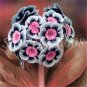 Europe Mix Colors Primula Acaulis Bonsai Potted Plant 200 Seeds