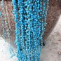 Blue Spring Grass Rare Succulents Plant 4000 Seeds