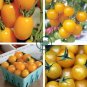 Cherry Tomato Mini Golden Round Fruit 200 Seeds