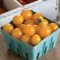 Cherry Tomato Mini Golden Round Fruit 200 Seeds