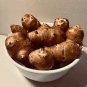 Organic Jerusalem Artichoke Roots Healthy Foods Selling As 100 Seeds