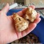 Organic Jerusalem Artichoke Roots Healthy Foods Selling As 100 Seeds
