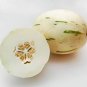 Snow Leopard Melon 200 Seeds