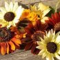 Generic Fresh 50 pcs Sunflower 100 Seeds
