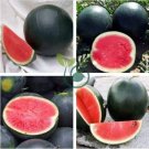 Black Diamond Watermelon 80 Seeds
