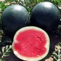 Black Diamond Watermelon 80 Seeds