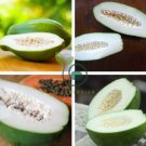 Guangxi Green Skin White Inside Giant Papaya Fruit 12 Seeds