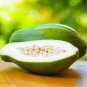 Guangxi Green Skin White Inside Giant Papaya Fruit 12 Seeds