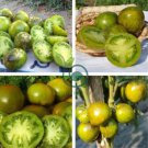 Rare Green Big Tomato 600 Seeds