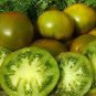 Rare Green Big Tomato 600 Seeds