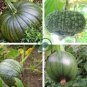 Archaizing Antique Pumpkin 8 Seeds