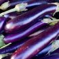 Heirloom Rare Long eggplant 40 Seeds