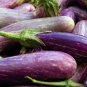 Heirloom Rare Long eggplant 40 Seeds