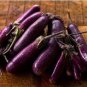 Heirloom Rare Long eggplant 40 Seeds