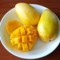 Mango-like Yellow Middle Bonsai Fruits 40 Seeds