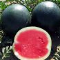 Heirloom Sweet Black Skin Red Round Seedless Water Melon 100 Seeds