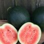 Heirloom Sweet Black Skin Red Round Seedless Water Melon 100 Seeds