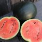 Heirloom Sweet Black Skin Red Round Seedless Water Melon 100 Seeds