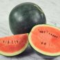 Heirloom Sweet Black Skin Red Round Seedless Water Melon 100 Seeds