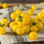 Organic Bright Yellow Round Cherry Tomato 200 Seeds