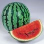 Heirloom 'Xin Hong Bao' Big Long Sweet Red Watermelon Fruit 100 Seeds