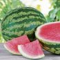 Heirloom 'Xin Hong Bao' Big Long Sweet Red Watermelon Fruit 100 Seeds