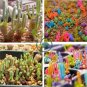 Dicrocaulon Ramulosum 60 Seeds