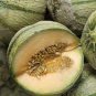 Rare Canadian Heirloom Oka Melon Bizard Island Strain Cucumis Melo 40 Seeds