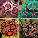 Europe Colorful Primula Acaulis Bonsai Potted 200 Seeds