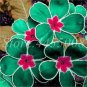 Europe Colorful Primula Acaulis Bonsai Potted 200 Seeds