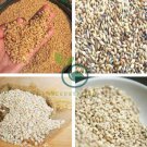 Barley 100 Seeds
