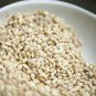Barley 100 Seeds