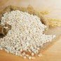 Barley 100 Seeds