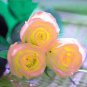 Rare Hybrid Light Pink Yellow Rose Seedling Flower 100 Seeds