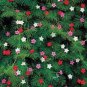 Garden Fern Rare Creeper Vines Grass Dark Green Pink Leaves 200  Seeds