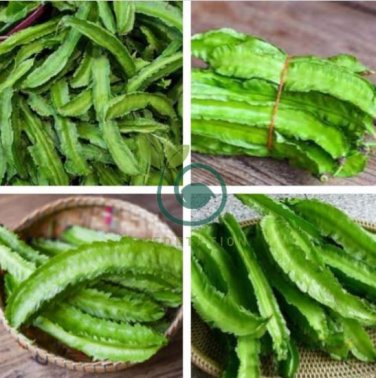 Winged Bean 6 Seeds