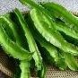 Winged Bean 6 Seeds