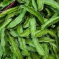 Winged Bean 6 Seeds