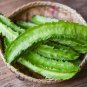 Winged Bean 6 Seeds