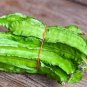 Winged Bean 6 Seeds